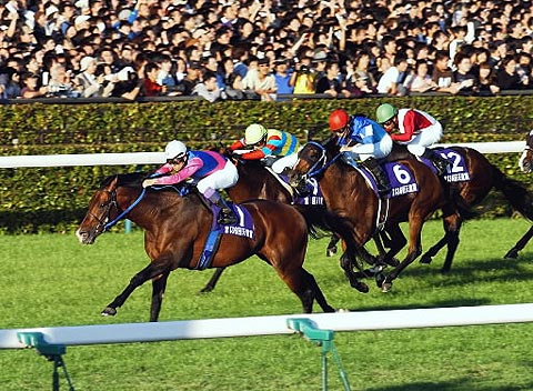 mメイショウサムソン