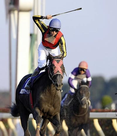 ダイワメジャー