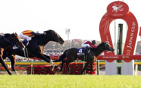 アドマイヤムーン