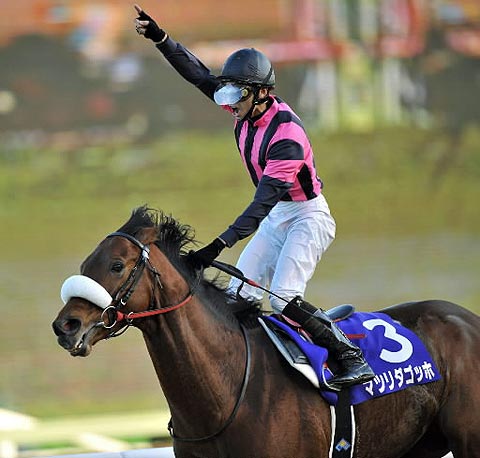 マツリダゴッホ