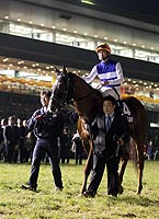 ダイワメジャー