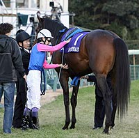 メイショウサムソン