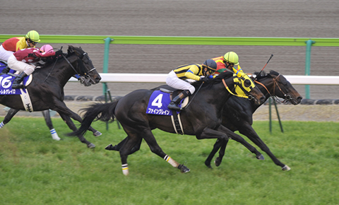 ファイングレイン