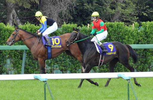 ブラックシェル(左)マイネルチャールズ