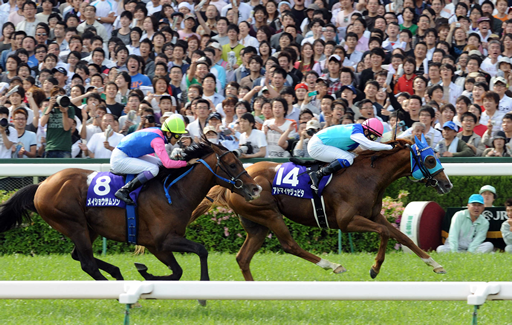 アドマイヤジュピタ