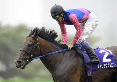 メイショウサムソン