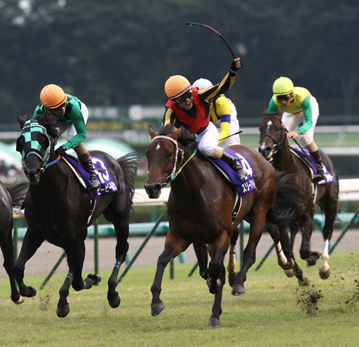 スリープレスナイ