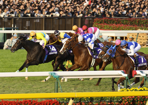 ウオッカ(左)ダイワスカーレット(右端)ディープスカイ(中央)