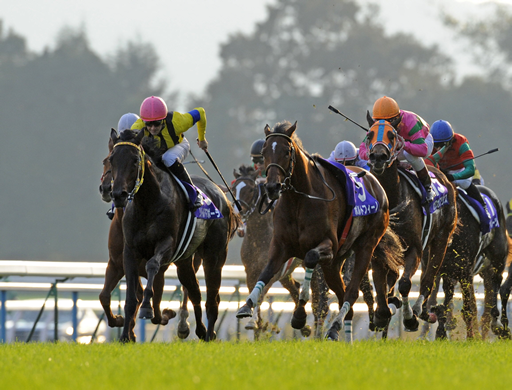 リトルアマポーラ