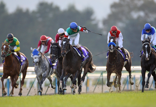 ブルーメンブラット