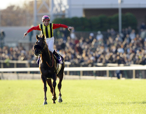 スクリーンヒーロー