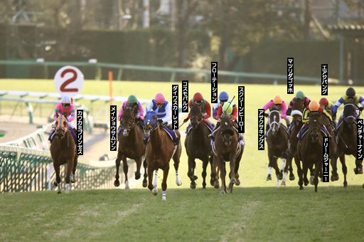 13頭を引き連れ、中山の急坂を駆け上がるダイワスカーレット