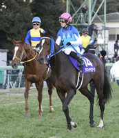 アドマイヤモナーク