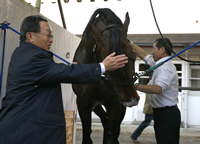 メイショウサムソン