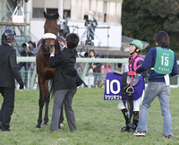 マツリダゴッホ