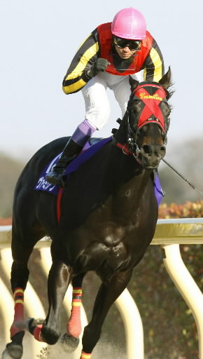 ヴァーミリアン