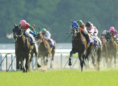 ジャガーメイル