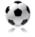 デイリースポーツ サッカー