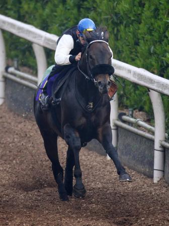 �@�I���b�v�Ńg�[�Z���W���[�_���i���j�͊�c��w�ɔ��͂ɖ���������