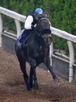 �@�I���b�v�Ńg�[�Z���W���[�_���i���j�͊�c��w�ɔ��͂ɖ���������