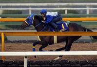 �@���L��w�ɌI���b�v�ōD���Ԃ���A�s�[�������E�C���o���A�V�I���i�B�e�E�Љ������j