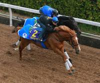 �@�r�Y��w�ɌI����H���삯�オ�����I���t�F�[�����i��O�j�i�B�e�E�Γ��P��j