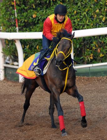 �g�R���L���[�h�̌����󂯌p���M���X�^�[���N���C