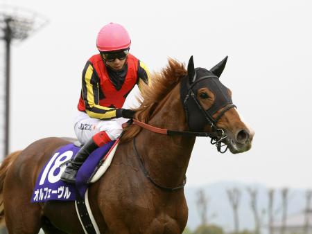 �@�܂����̎S�s�]���Ȃ���Ȃ�������g����I���t�F�[�����ƒr�Y�i�B�e�E�Γ��P��j