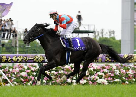 @r[gubNœVc܁itj𐧂AYтグ΋iBeEЉj