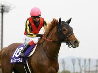 �@�܂����̎S�s�]���Ȃ���Ȃ�������g����I���t�F�[�����ƒr�Y�i�B�e�E�Γ��P��j