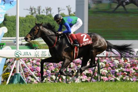 �@�i�q�`���R�[�h�ŉ��������g�[�Z���z�}���{�V�i�B�e�E�Љ������j