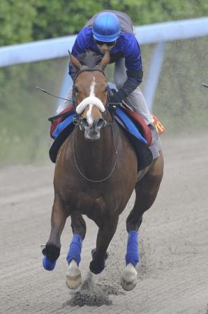 @QTAŔYkbŒǂė͋AppliBeEIcj