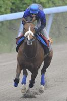 @QTAŔYkbŒǂė͋AppliBeEIcj