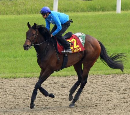 �@���ݐ��𐶂�����g����ɂ������f�B�A���o���[�U