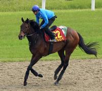 �@���ݐ��𐶂�����g����ɂ������f�B�A���o���[�U