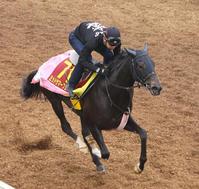 @wcMX̃~bhT}[tFAnhaɘN͂