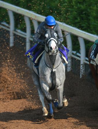 �@���c����w�ɌI����H���삯�オ�����S�[���h�V�b�v�i�B�e�E�Γ��P��j