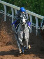 �@���c����w�ɌI����H���삯�オ�����S�[���h�V�b�v�i�B�e�E�Γ��P��j