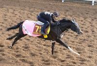 @YHŒv}[N~bhT}[tFAiBeEcj