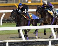 �@�I���c�o�ŉs���L�ыr�������������B���V�[�i�i���j�i�B�e�E�Љ������j