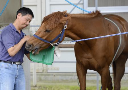 �@��n�̌����~�̕���ł̑�d����\��������A�C�����A�[�Y�i�B�e�E�c������j
