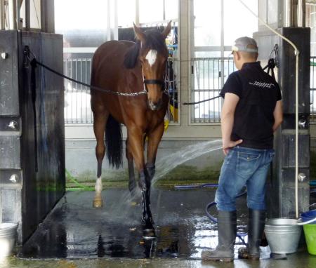 �􂢏�Ń����b�N�X����W�F���e�B���h���i