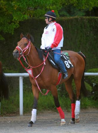 �@�V����Ń_�[�r�[�ɒ��ރf�B�[�v�u�������e