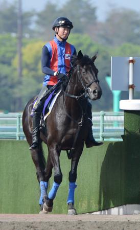 �@���s�̕{���Ńt�F�m�[���m����������