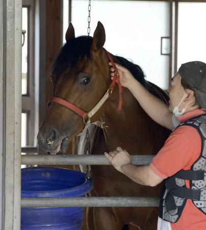 @nɓn[ł낮fB[vueiBeEODMj