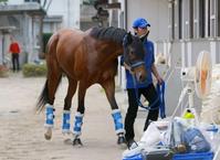 �@�{�����肵�Đ퓬���[�h�̃��[���h�G�[�X�i�B�e�E�Γ��P��j