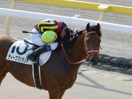 @fB[vueŃ_[r[𐧂AnŒjciBeE؍Fj