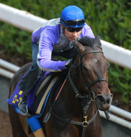 @vXɃRrgޕLR悵ČIHŒǂꂽ[YLO_