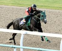 @|gbNPŒǂK{YgZiBeEcj