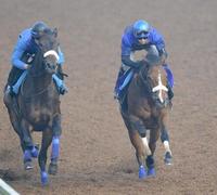 @傖wɔYHŏ㏸CzAppliEjiBeEODMj